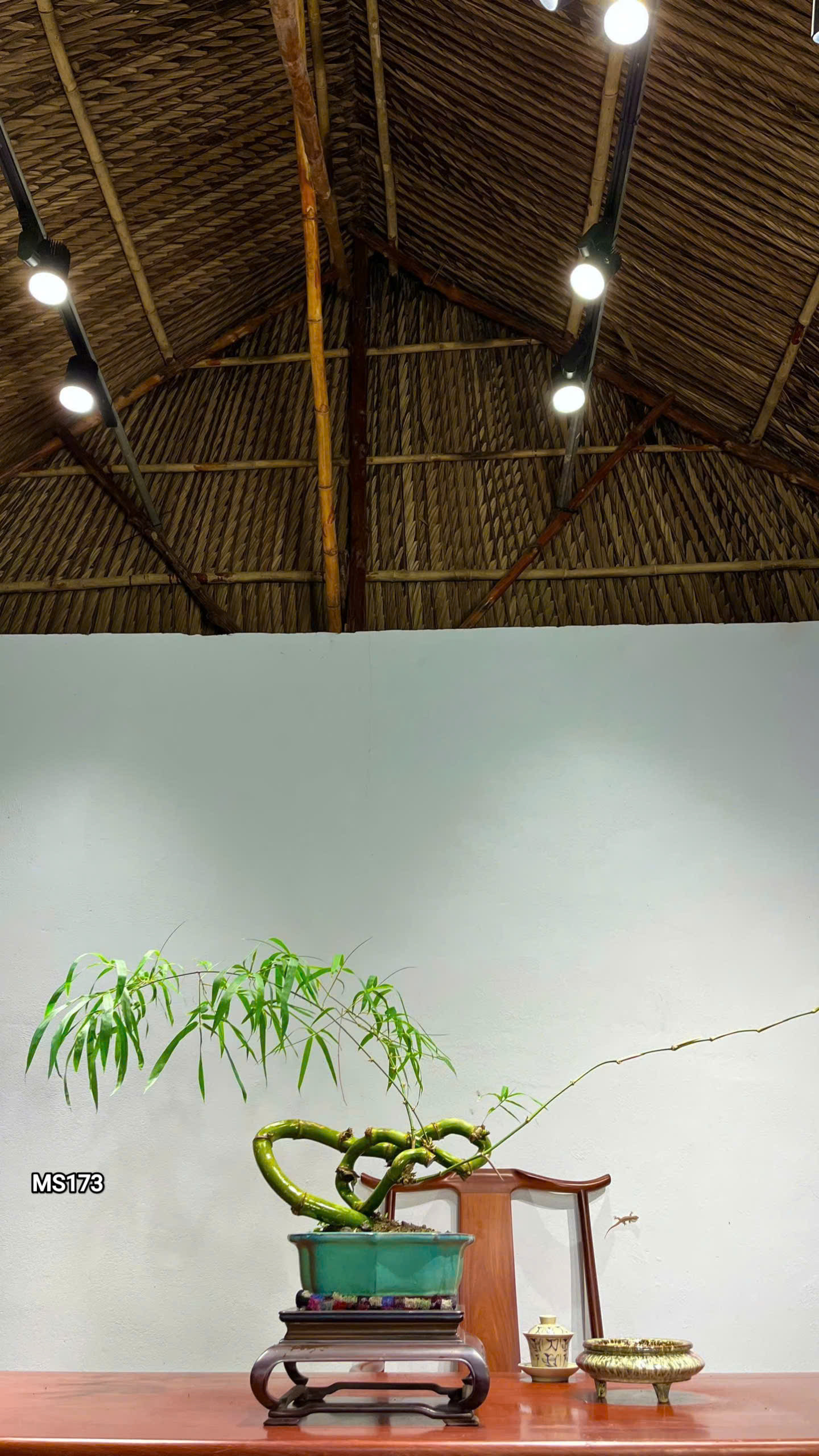 Tre BS Mini - Để Bàn Tre BS Mini - Để Bàn