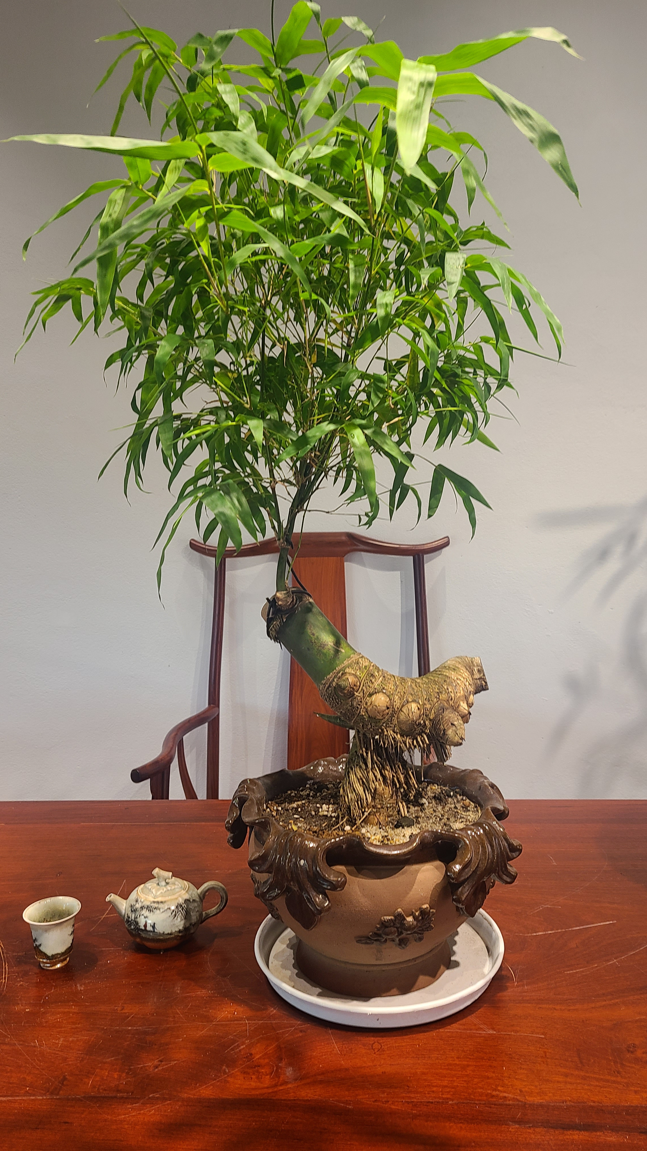 Tre BS Mini - Để Bàn Tre BS Mini - Để Bàn