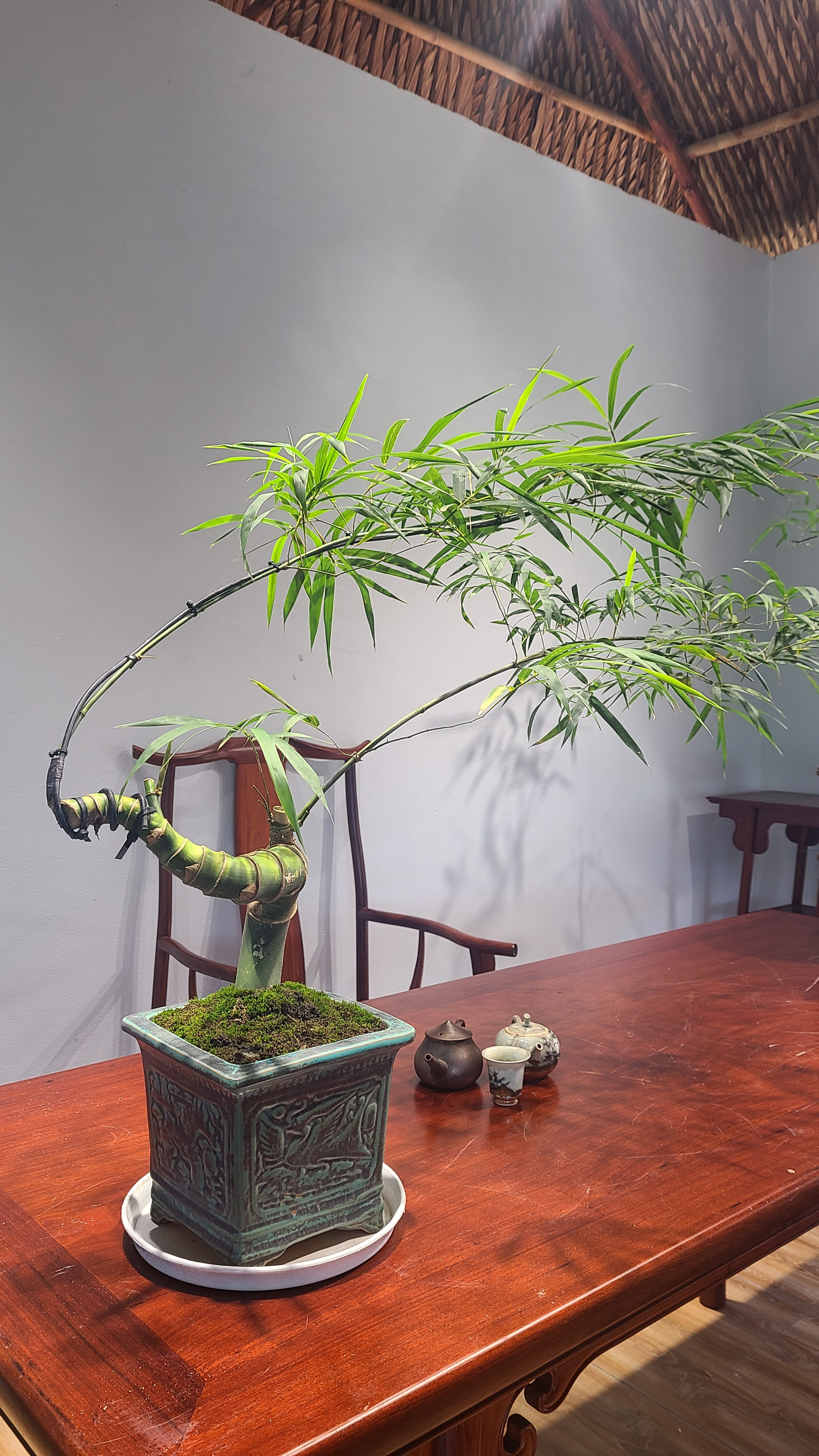 Tre BS Mini - Để Bàn Tre BS Mini - Để Bàn